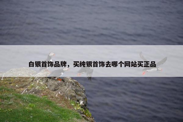 白银首饰品牌，买纯银首饰去哪个网站买正品