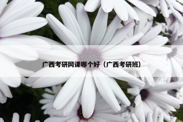 广西考研网课哪个好（广西考研班）