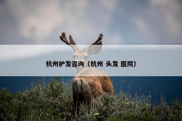 杭州护发咨询（杭州 头发 医院）
