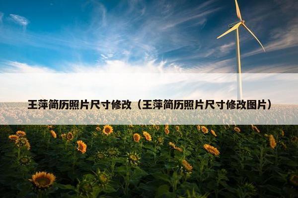 王萍简历照片尺寸修改（王萍简历照片尺寸修改图片）