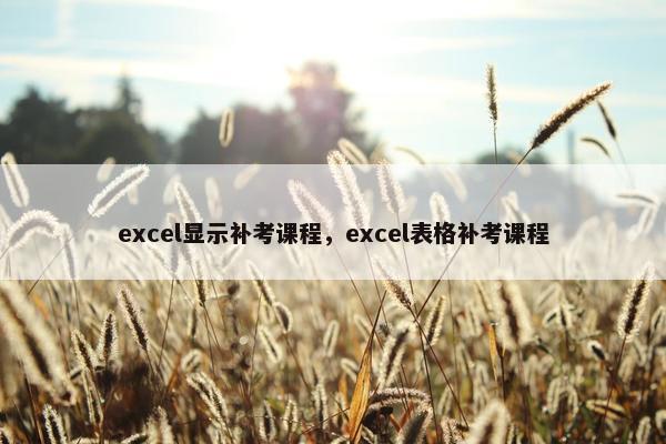 excel显示补考课程，excel表格补考课程