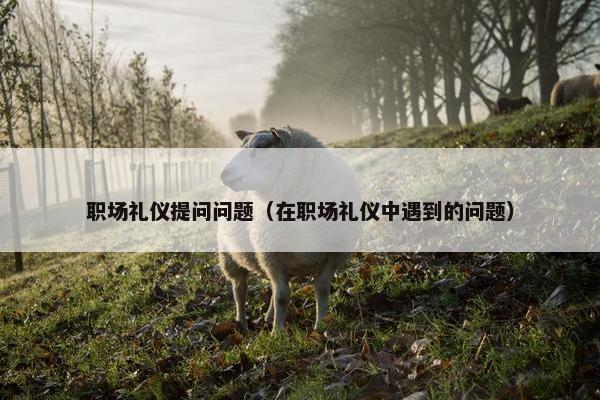 职场礼仪提问问题（在职场礼仪中遇到的问题）
