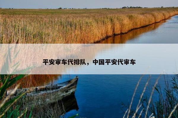 平安审车代排队，中国平安代审车