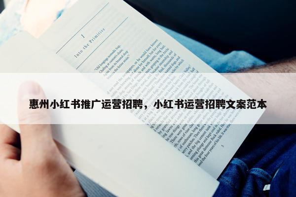 惠州小红书推广运营招聘，小红书运营招聘文案范本