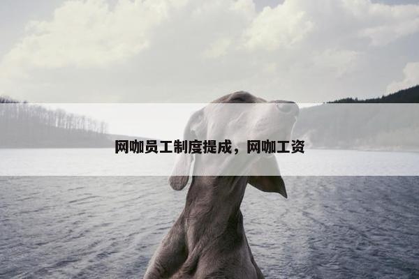 网咖员工制度提成，网咖工资
