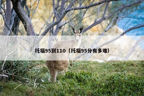 托福95到110（托福95分有多难）