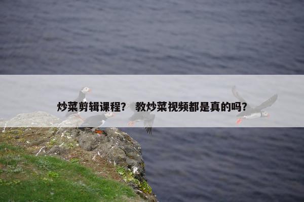 炒菜剪辑课程？ 教炒菜视频都是真的吗？
