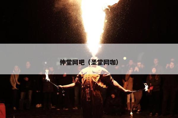 伸堂网吧（圣堂网咖）