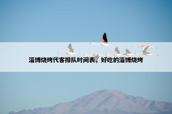 淄博烧烤代客排队时间表，好吃的淄博烧烤