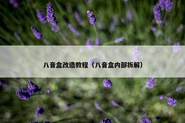 八音盒改造教程（八音盒内部拆解）