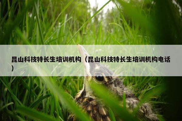 昆山科技特长生培训机构（昆山科技特长生培训机构电话）