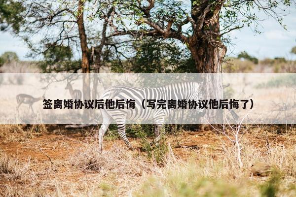 签离婚协议后他后悔（写完离婚协议他后悔了）