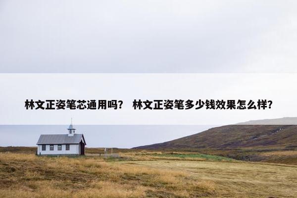 林文正姿笔芯通用吗？ 林文正姿笔多少钱效果怎么样？