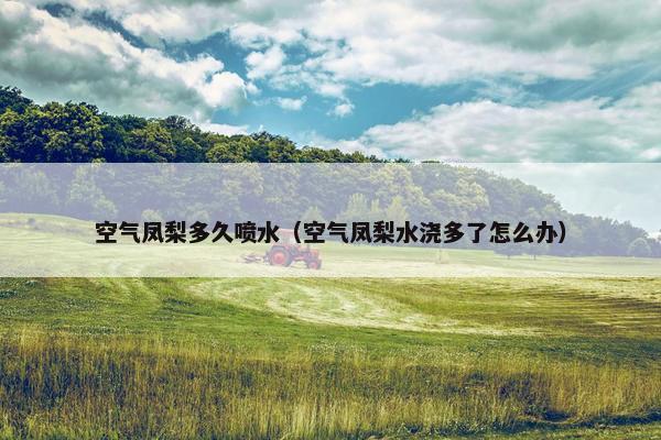 空气凤梨多久喷水（空气凤梨水浇多了怎么办）