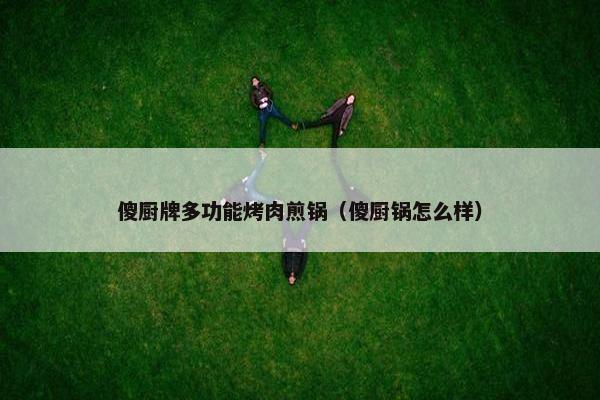 傻厨牌多功能烤肉煎锅（傻厨锅怎么样）