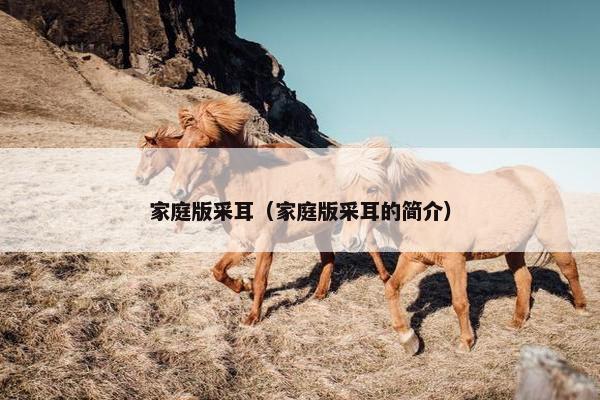 家庭版采耳（家庭版采耳的简介）
