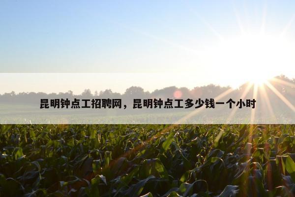 昆明钟点工招聘网，昆明钟点工多少钱一个小时