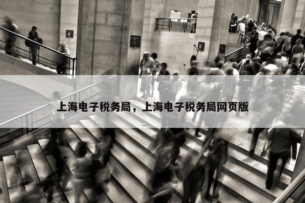 上海电子税务局，上海电子税务局网页版