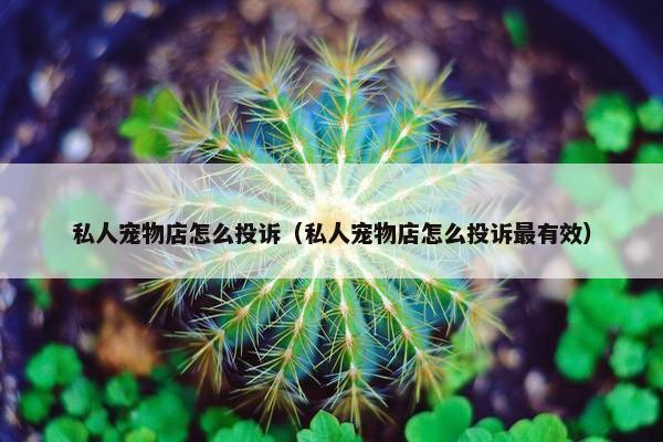 私人宠物店怎么投诉（私人宠物店怎么投诉最有效）