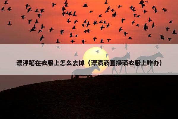漂浮笔在衣服上怎么去掉（漂渍液直接滴衣服上咋办）