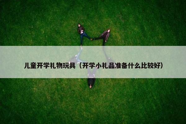 儿童开学礼物玩具（开学小礼品准备什么比较好）