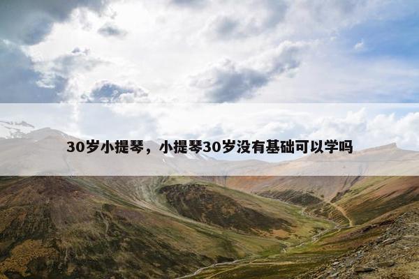 30岁小提琴，小提琴30岁没有基础可以学吗