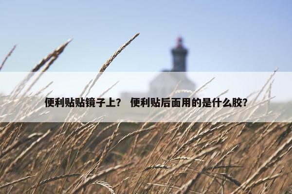 便利贴贴镜子上？ 便利贴后面用的是什么胶？