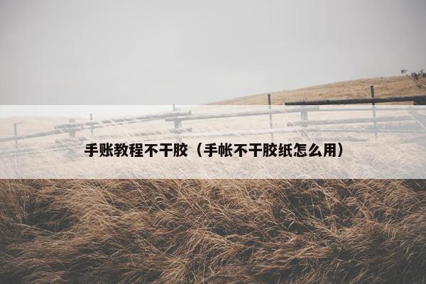 手账教程不干胶（手帐不干胶纸怎么用）