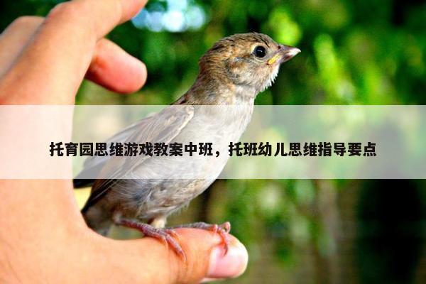 托育园思维游戏教案中班，托班幼儿思维指导要点