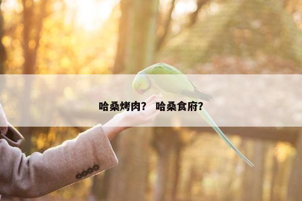 哈桑烤肉？ 哈桑食府？