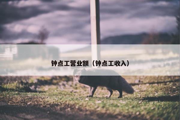 钟点工营业额（钟点工收入）