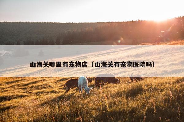 山海关哪里有宠物店（山海关有宠物医院吗）