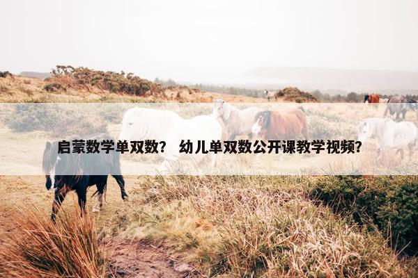 启蒙数学单双数？ 幼儿单双数公开课教学视频？