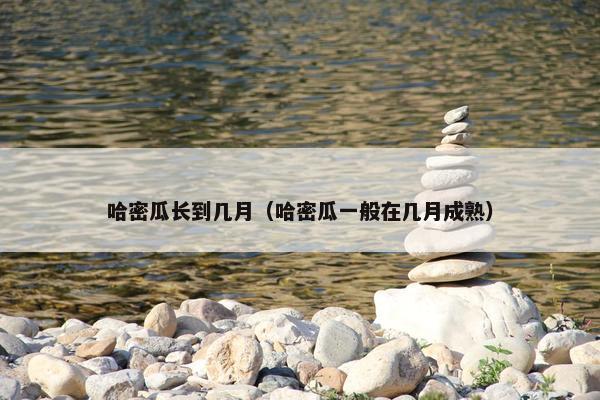 哈密瓜长到几月（哈密瓜一般在几月成熟）