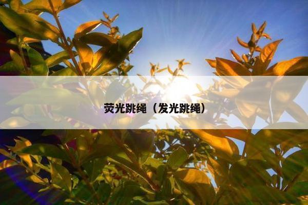 荧光跳绳（发光跳绳）