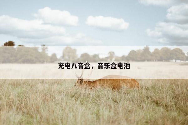 充电八音盒，音乐盒电池