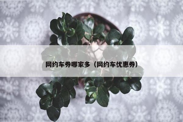 网约车券哪家多（网约车优惠券）