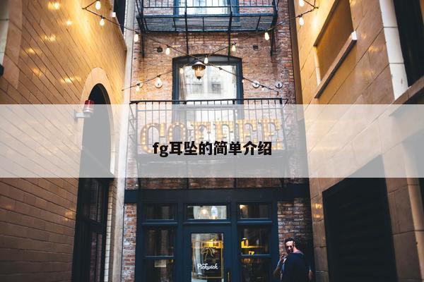 fg耳坠的简单介绍
