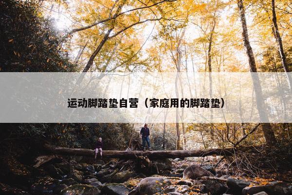 运动脚踏垫自营（家庭用的脚踏垫）