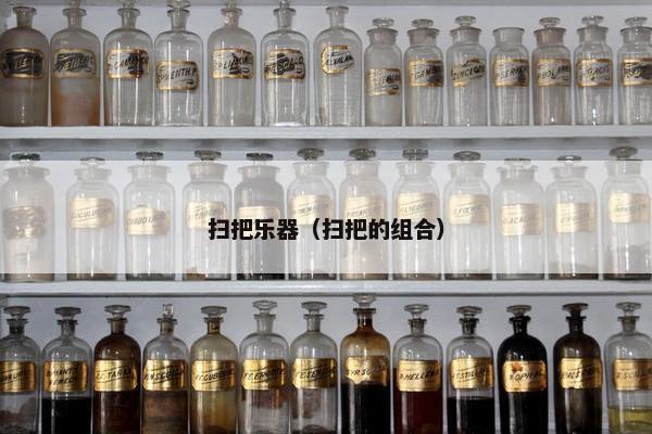 扫把乐器（扫把的组合）