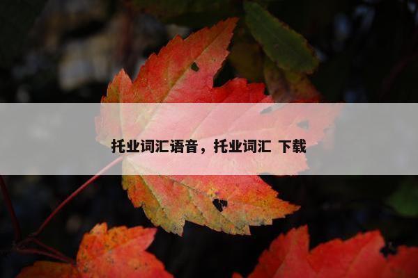 托业词汇语音，托业词汇 下载
