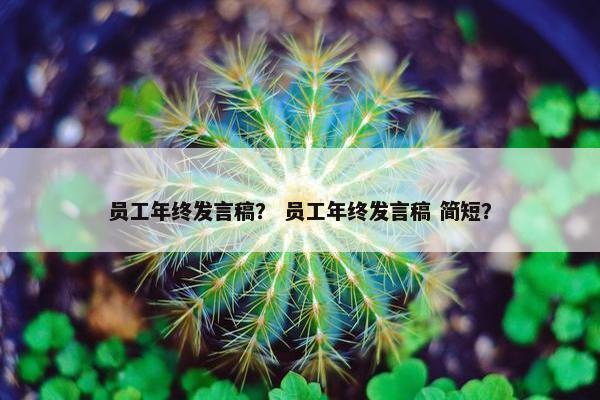 员工年终发言稿？ 员工年终发言稿 简短？