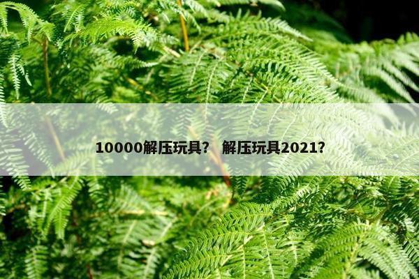 10000解压玩具？ 解压玩具2021？