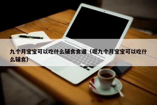 九个月宝宝可以吃什么辅食食谱（嗯九个月宝宝可以吃什么辅食）