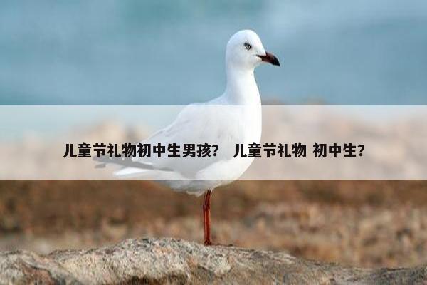 儿童节礼物初中生男孩？ 儿童节礼物 初中生？