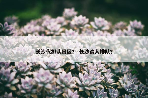 长沙代排队景区？ 长沙请人排队？