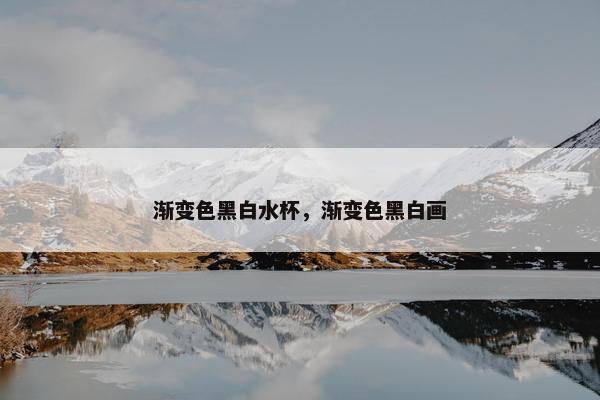 渐变色黑白水杯，渐变色黑白画
