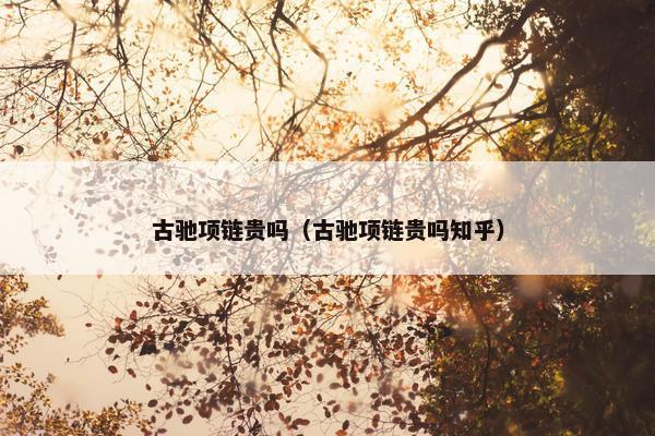 古驰项链贵吗（古驰项链贵吗知乎）