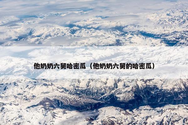 他奶奶六舅哈密瓜（他奶奶六舅的哈密瓜）