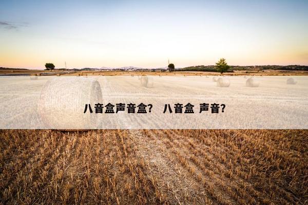 八音盒声音盒？ 八音盒 声音？